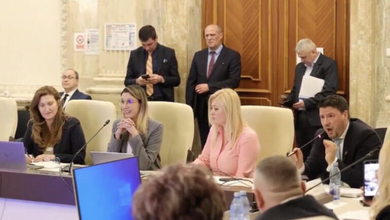 „daca-tipati-nu-va-creste-barbatia”.-atacuri-in-rafala-la-adresa-dianei-buzoianu,-la-dezbaterea-bugetului