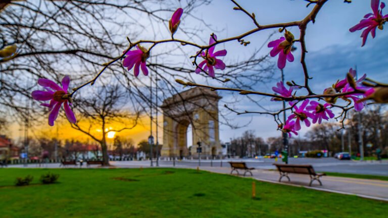 cum-va-fi-vremea-de-florii-si-paste.-anm:-„avem-semnale-ca-activitatea-ciclonica-va-fi-mai-importanta”