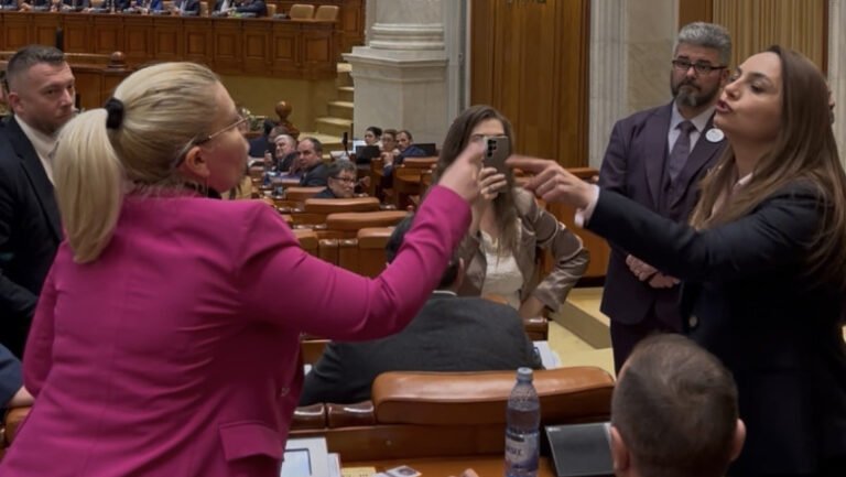 „stai-in-banca-ta!”.-anamaria-gavrila-tipa-la-o-colega-de-partid-in-plenul-parlamentului:-„nu-vorbesti-tu-in-numele-pot”