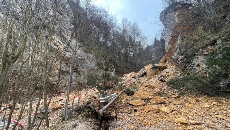 alunecare-de-teren-la-pietrele-lui-solomon,-in-brasov:-exista-riscul-prabusirii-unor-arbori alunecare-de-teren-la-pietrele-lui-solomon,-in-brasov:-exista-riscul-prabusirii-unor-arbori