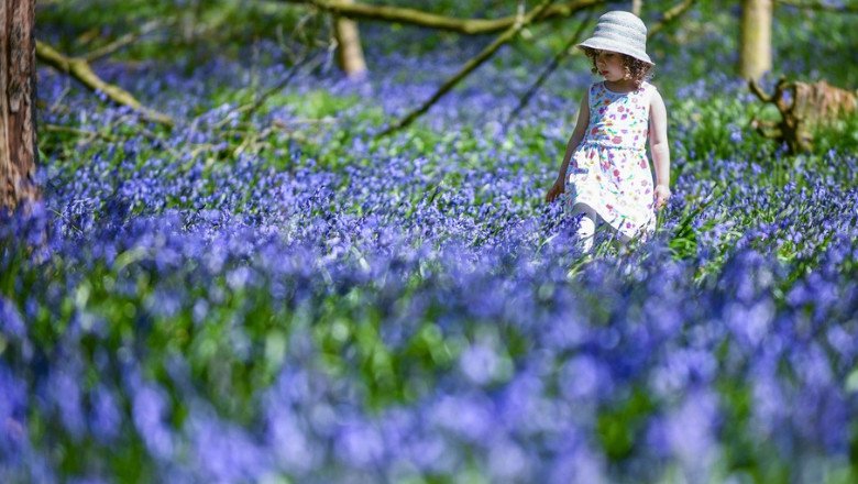 cum-va-fi-vremea-de-florii-si-paste.-meteorologii-au-actualizat-prognoza-pentru-urmatoarele-patru-saptamani cum-va-fi-vremea-de-florii-si-paste.-meteorologii-au-actualizat-prognoza-pentru-urmatoarele-patru-saptamani