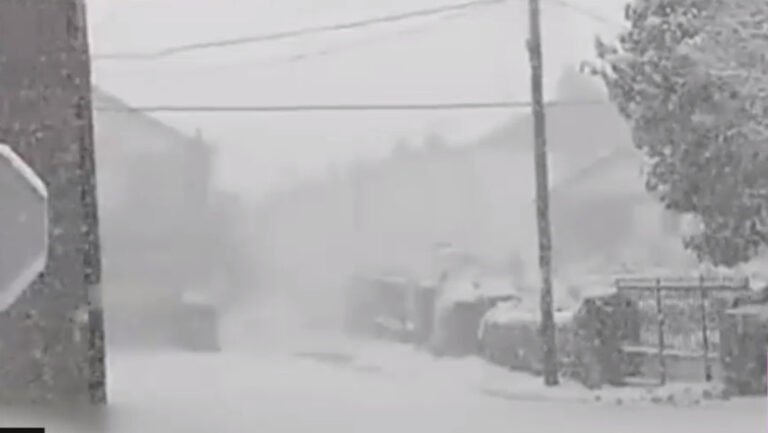 furtuna-therese-loveste-tenerife:-zapada-si-vant-puternic-pe-insula-spaniola.-cod-portocaliu:-drumuri-inchise-si-zboruri-anulate