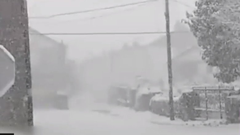 furtuna-therese-loveste-tenerife:-zapada-si-vant-puternic-pe-insula-spaniola.-cod-portocaliu:-drumuri-inchise-si-zboruri-anulate furtuna-therese-loveste-tenerife:-zapada-si-vant-puternic-pe-insula-spaniola.-cod-portocaliu:-drumuri-inchise-si-zboruri-anulate