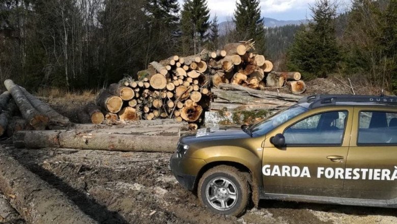 ministrul-mediului:-dupa-schimbarea-conducerii-garzii-forestiere-a-crescut-numarul-de-controale.-sistem-modern-de-monitorizare,-in-plan