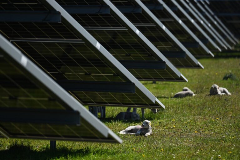 „da-lanurilor-de-grau,-nu-campurilor-de-fier”-cum-li-s-a-luat-danezilor-de-atata-energie-solara.-tara-este-cea-mai-ecologica-din-lume