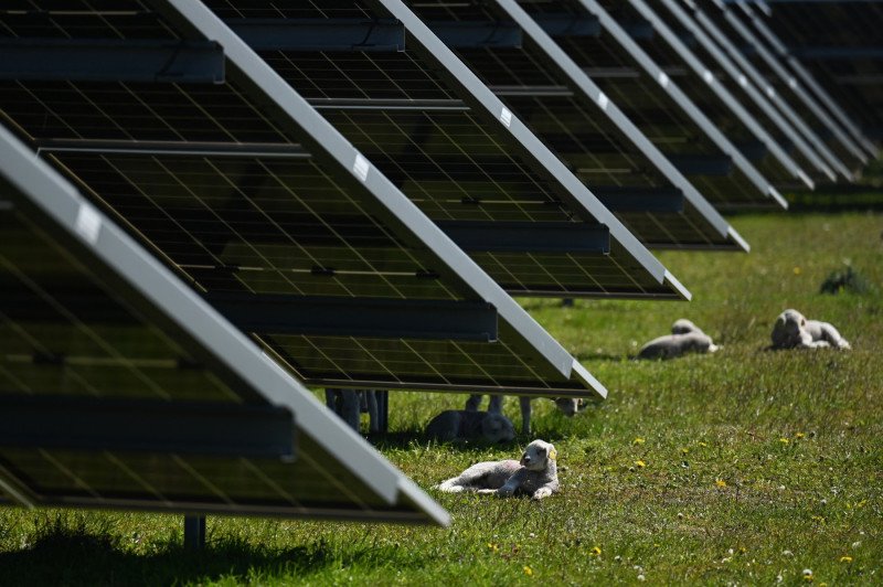 „da-lanurilor-de-grau,-nu-campurilor-de-fier”-cum-li-s-a-luat-danezilor-de-atata-energie-solara.-tara-este-cea-mai-ecologica-din-lume „da-lanurilor-de-grau,-nu-campurilor-de-fier”-cum-li-s-a-luat-danezilor-de-atata-energie-solara.-tara-este-cea-mai-ecologica-din-lume