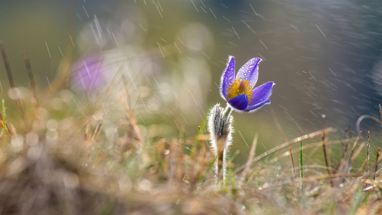 vant-puternic-pana-la-ora-18:00-in-estul-tarii.-vremea-se-incalzeste-de-luni:-cand-vin-ploile