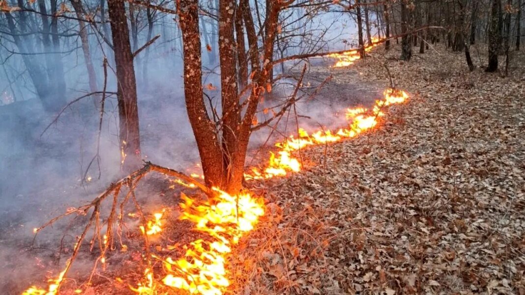 timis-pompierii-au-intervenit,-in-acest-weekend,-in-190-de-situatii-de-urgenta.-7-terenuri-agricole,-dar-si-6-locuinte-au-luat-foc