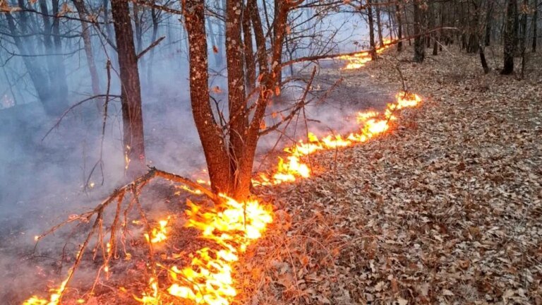 timis-pompierii-au-intervenit,-in-acest-weekend,-in-190-de-situatii-de-urgenta.-7-terenuri-agricole,-dar-si-6-locuinte-au-luat-foc