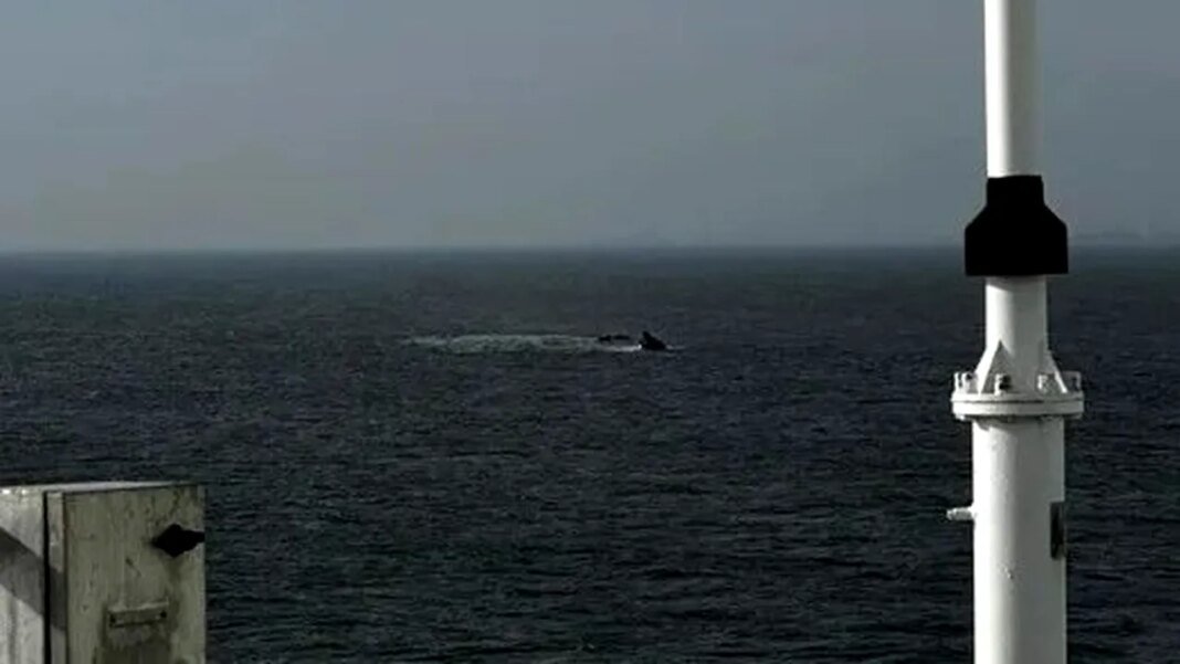 au-inceput-procedurile-pentru-ridicarea-de-pe-fundul-marii-a-remorcherul-astana,-scufundat-in-zona-portul-midia