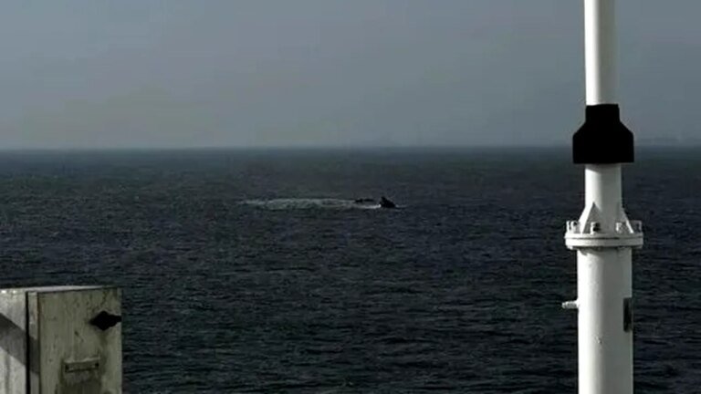 au-inceput-procedurile-pentru-ridicarea-de-pe-fundul-marii-a-remorcherul-astana,-scufundat-in-zona-portul-midia