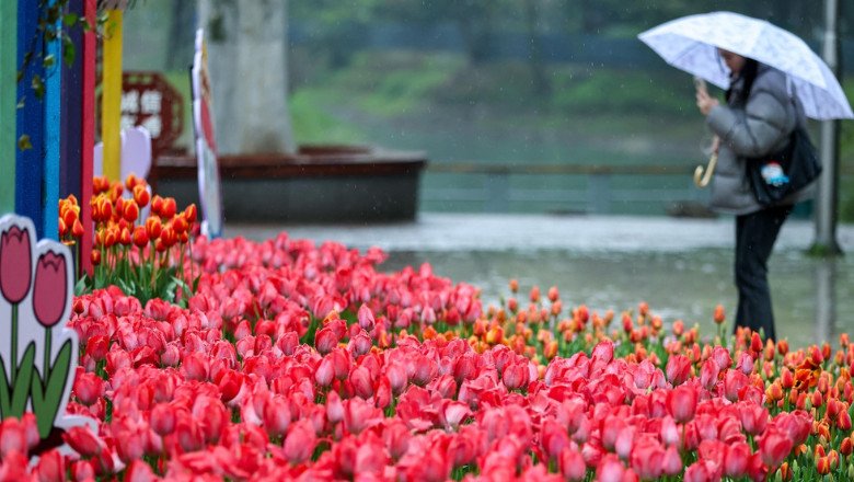 vreme-capricioasa-in-romania:-temperaturile-cresc,-dar-vin-ploile.-meteorolog:-va-avea-un-caracter-pronuntat-de-schimbare
