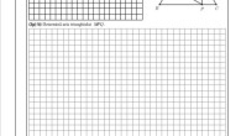 Simulare matematică, subiecte, pagina 7 | Poza 7 din 8