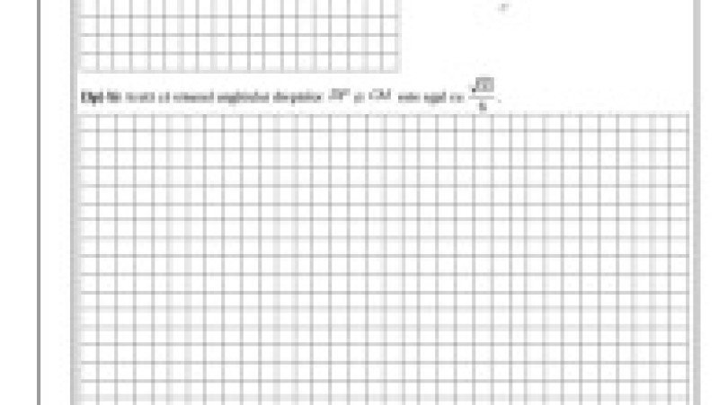 Simulare matematică, subiecte, pagina 8 | Poza 8 din 8