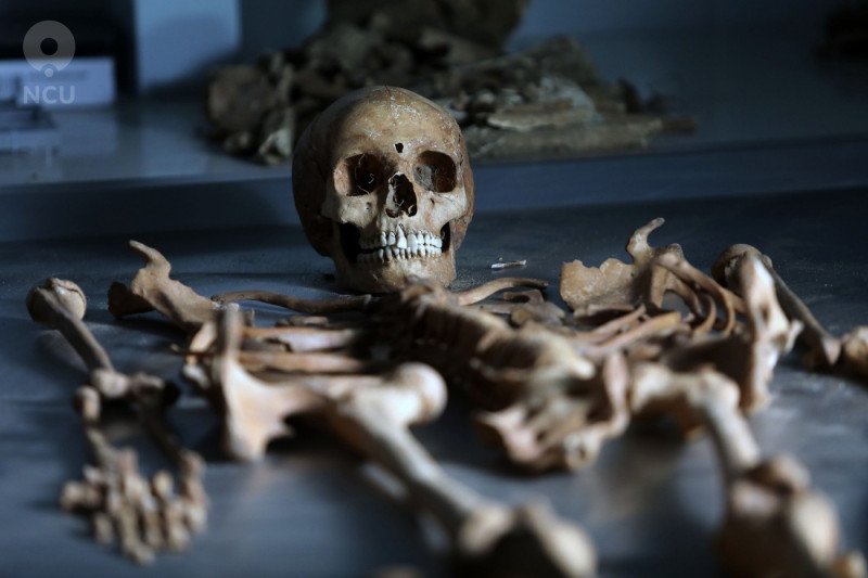 Polish Archaeologists Uncover Female `Vampire` Buried With Sickle