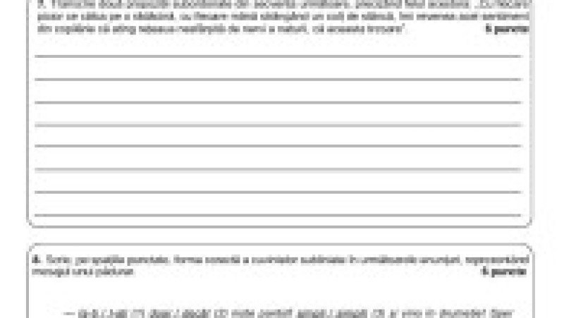 Simulare limba română, pag 8 | Poza 8 din 9