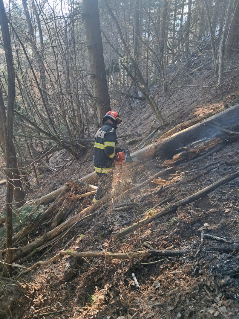 WhatsApp Image 2026-03-15 at 19.56.18