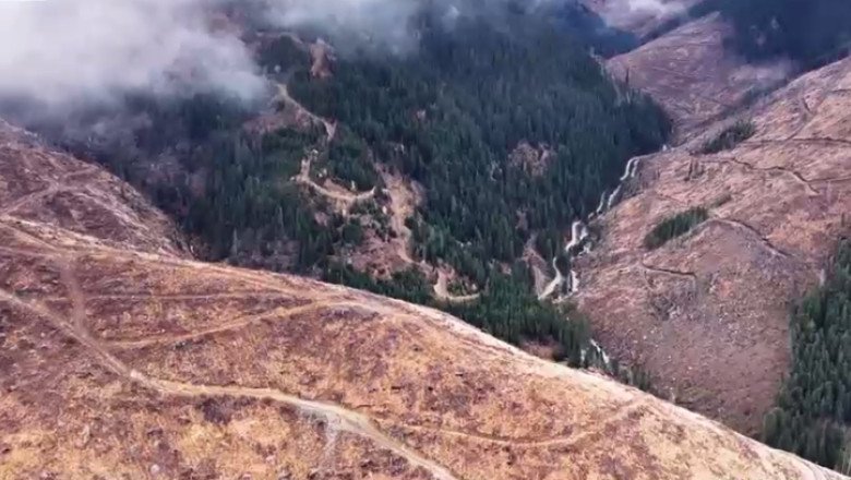 cum-prospera-mafia-lemnului-in-romania:-majoritatea-dosarelor-penale-sunt-clasate-sau-se-dispune-incetarea-urmaririi-penale