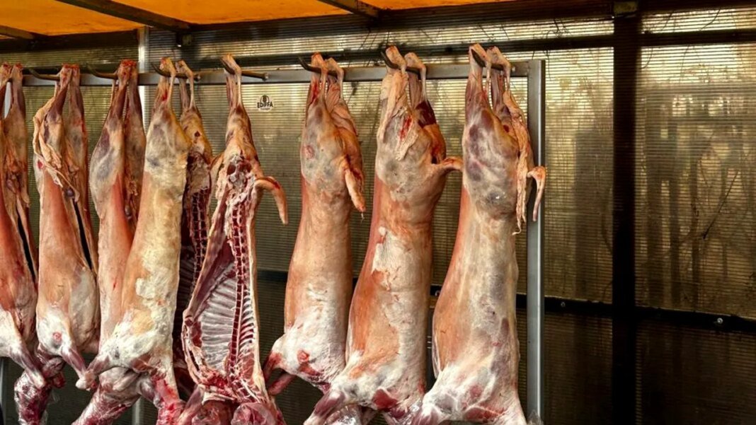 anpc,-amenzi-de-peste-6,3-milioane-de-euro-pentru-comerciantii-de-carne-de-miel,-dar-si-restaurante