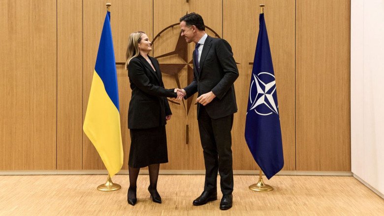 „e-timpul-sa-reinventam-nato”.-criza-declansata-de-trump-in-cadrul-aliantei-reprezinta-o-oportunitate-pentru-ucraina