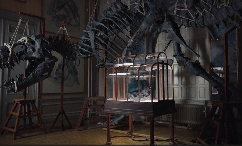 o-geanta-de-mana-facuta-din-colagen-derivat-din-fosile-de-dinozaur-va-fi-scoasa-la-licitatie-pentru-jumatate-de-milion-de-dolari