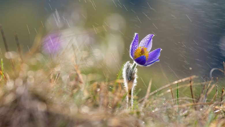meteorologii-anunta-vreme-schimbatoare-in-urmatoarele-doua-saptamani.-prognoza-pe-regiuni-pana-pe-19-aprilie
