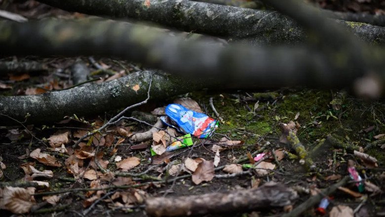 trei-persoane,-printre-care-si-o-fetita-de-10-luni,-au-murit-in-germania-lovite-de-un-copac,-in-timp-ce-vanau-oua-de-paste