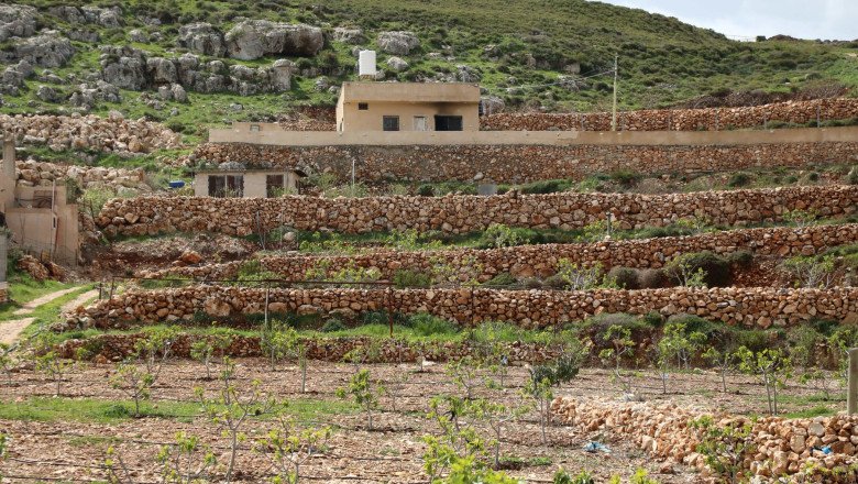 israelul-va-crea-34-de-noi-colonii-in-cisiordania-ocupata,-conform-unei-decizii-luate-in-secret-la-inceputul-lui-aprilie