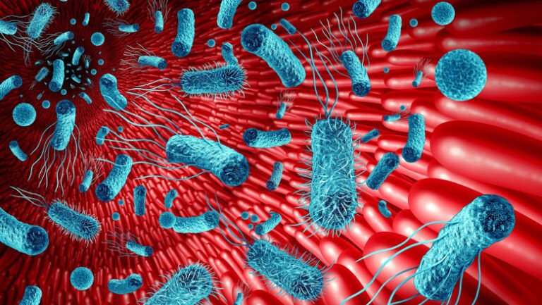 intestinul,-„al-doilea-creier”:-cum-influenteaza-microbiomul-sanatatea-si-memoria-(studiu)