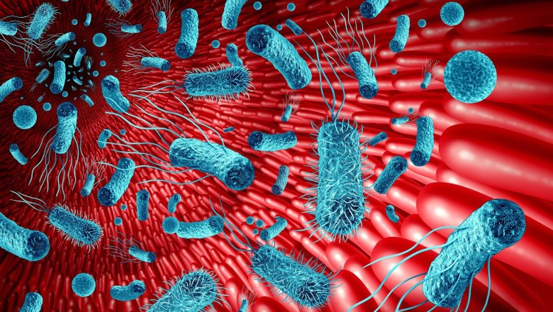 intestinul,-„al-doilea-creier”:-cum-influenteaza-microbiomul-sanatatea-si-memoria-(studiu) intestinul,-„al-doilea-creier”:-cum-influenteaza-microbiomul-sanatatea-si-memoria-(studiu)