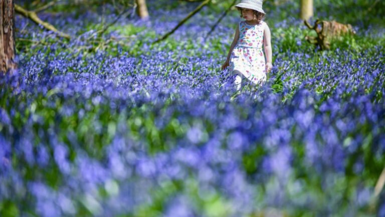 meteorologii-anunta-cand-incep-sa-creasca-temperaturile-in-toata-tara.-zona-in-care-va-fi-mai-cald-decat-de-obicei-saptamana-aceasta