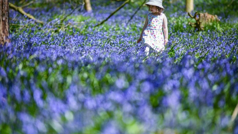 meteorologii-anunta-cand-incep-sa-creasca-temperaturile-in-toata-tara.-zona-in-care-va-fi-mai-cald-decat-de-obicei-saptamana-aceasta