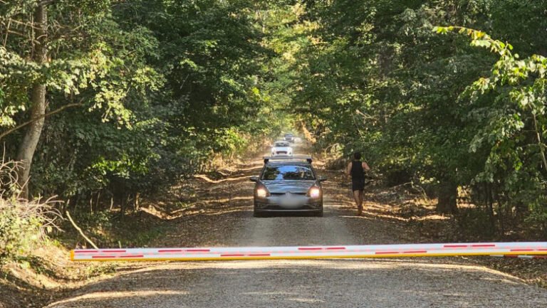 ministerul-mediului-a-castigat-in-prima-instanta-procesul-privind-raportul-corpului-de-control-referitor-la-drumul-din-padurea-baneasa