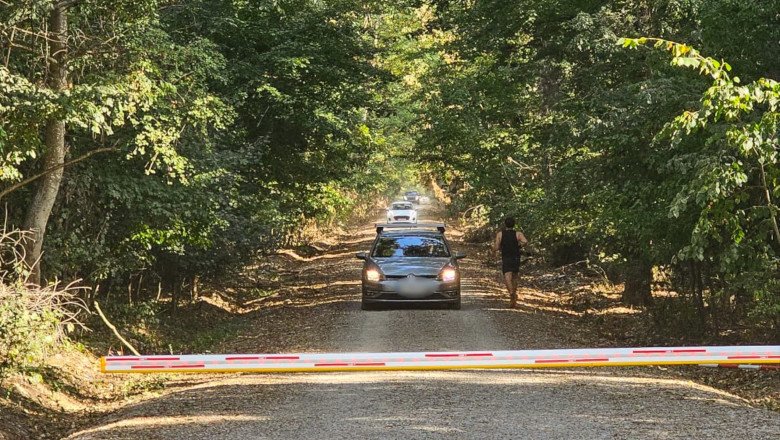 ministerul-mediului-a-castigat-in-prima-instanta-procesul-privind-raportul-corpului-de-control-referitor-la-drumul-din-padurea-baneasa ministerul-mediului-a-castigat-in-prima-instanta-procesul-privind-raportul-corpului-de-control-referitor-la-drumul-din-padurea-baneasa