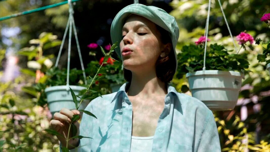 o-planta-considerata-demodata-revine-in-forta-in-2026.-tot-mai-multi-gradinari-renunta-la-gradinile-ingrijite-in-2026 