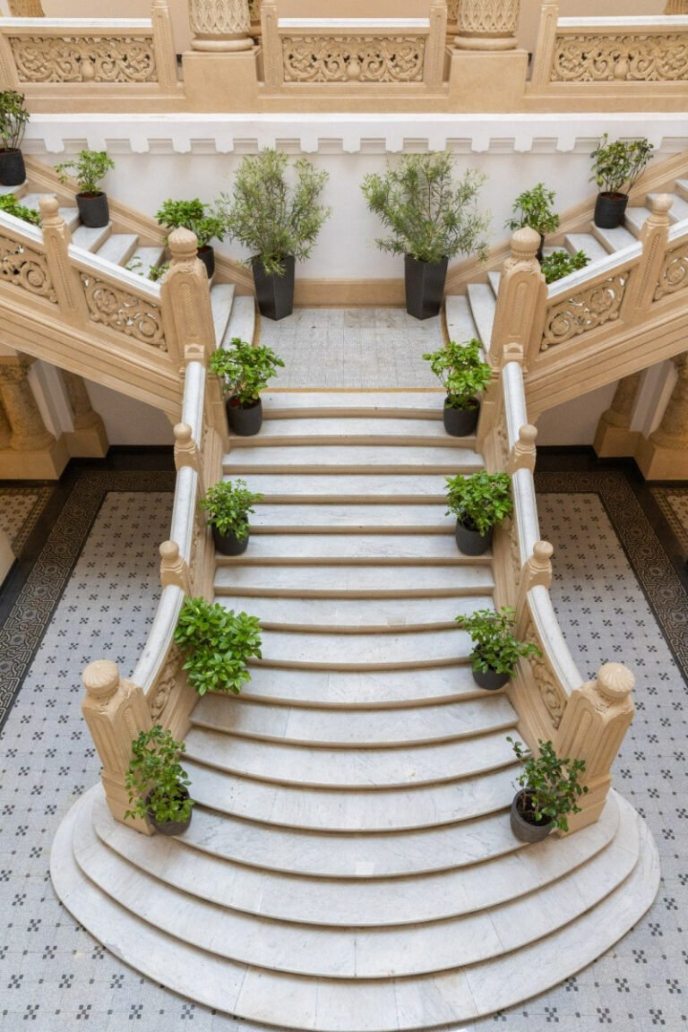 bucurestenii-pot-vizita-primaria-capitalei-in-weekend.-program-de-tururi-gratuite-si-acces-in-cladirea-istorica