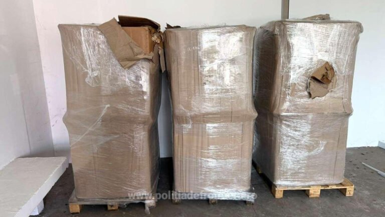 captura-uriasa-la-giurgiu.-peste-o-tona-de-tutun-ilegal-a-fost-descoperita-intr-o-duba