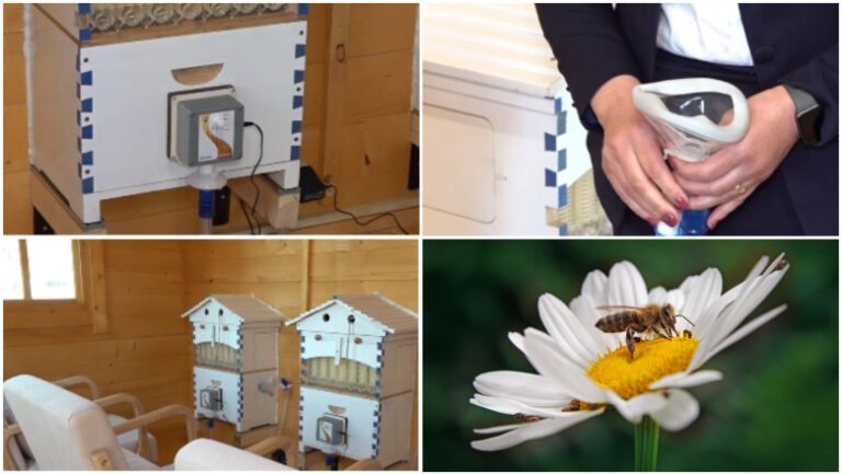 metoda-naturala-inovatoare:-terapia-cu-aerul-din-stup.-judetele-din-romania-unde-oamenii-pot-face-apiterapie:-„e-foarte-benefica”