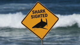 un-barbat-a-murit-dupa-ce-a-fost-atacat-de-un-rechin-de-4-metri,-in-australia