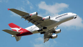 un-avion-a-facut-o-aterizare-de-urgenta-dupa-ce-un-pasager-a-muscat-o-stewardesa