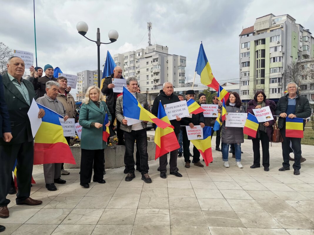 val-de-reactii-dupa-ce-mii-de-albine-s-au-asezat-pe-o-masina,-blocand-accesul-la-o-banca,-in-alexandria:-„daca-si-ele-trag-la-bmw…” val-de-reactii-dupa-ce-mii-de-albine-s-au-asezat-pe-o-masina,-blocand-accesul-la-o-banca,-in-alexandria:-„daca-si-ele-trag-la-bmw…”