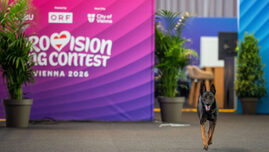 aproape-500-de-atacuri-cibernetice-au-incercat-sa-perturbe-eurovision-2026,-anunta-autoritatile-austriece