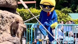 incident-la-gradina-zoologica-unde-locuieste-celebrul-pui-de-maimuta-punch:-ce-a-facut-un-influencer-american