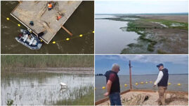experiment-inedit-in-dolj:-insule-artificiale-pentru-atragerea-pasarilor-salbatice,-pe-cel-mai-mare-lac-din-judet.-„e-doar-inceputul”