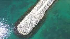 imagini-care-par-desprinse-din-caraibe-pe-litoralul-romanesc:-marea-neagra-a-capatat-nuante-de-turcoaz.-explicatia-specialistilor