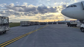 romania-a-trimis-peste-4000-de-oi-in-algeria-cu-avioane-cargo.-tara-africana-isi-asigura-necesarul-exclusiv-de-pe-piata-romaneasca