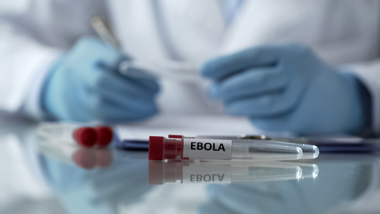 suspiciune-de-infectare-cu-ebola-in-italia.-doi-lucratori-umanitari-intorsi-din-uganda-prezinta-simptomele-bolii suspiciune-de-infectare-cu-ebola-in-italia.-doi-lucratori-umanitari-intorsi-din-uganda-prezinta-simptomele-bolii