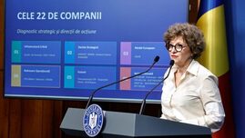 Oana Gheorghiu: „Există o conductă sub pământ, pe care hoții au demontat-o și totuși statul plătește mii de euro în fiecare an”