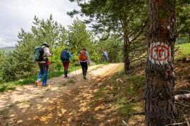 medlife-devine-partener-de-sanatate-si-wellbeing-in-proiectul-via-transilvanica,-„drumul-care-uneste”