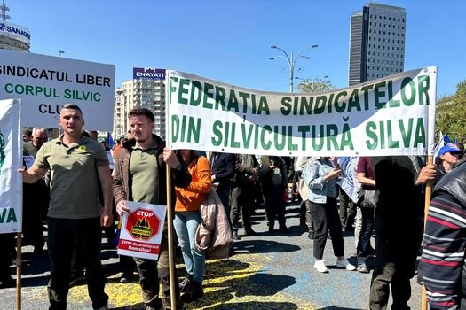 Protest în Piața Victoriei, organizat de Confederația Meridian: Sute de sindicaliști au ieșit în stradă pentru a-și cere drepturile